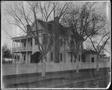 Photograph: [Trees in front of the J.H.P. Davis house]