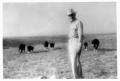 Photograph: M.D.Bryant Inspecting Cattle, 1948