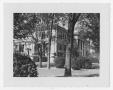 Photograph: [Carnegie Library Diagonal Left View With Trees]