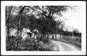 Primary view of object titled '[A road leading to a forested area]'.
