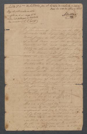 Primary view of object titled '[Michael Reed's land grant]'.