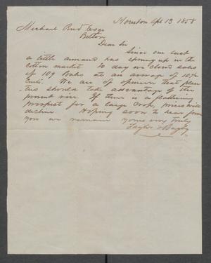 Primary view of object titled '[Letter from Taylor Bagby to Michael Reed regarding the cotton market]'.