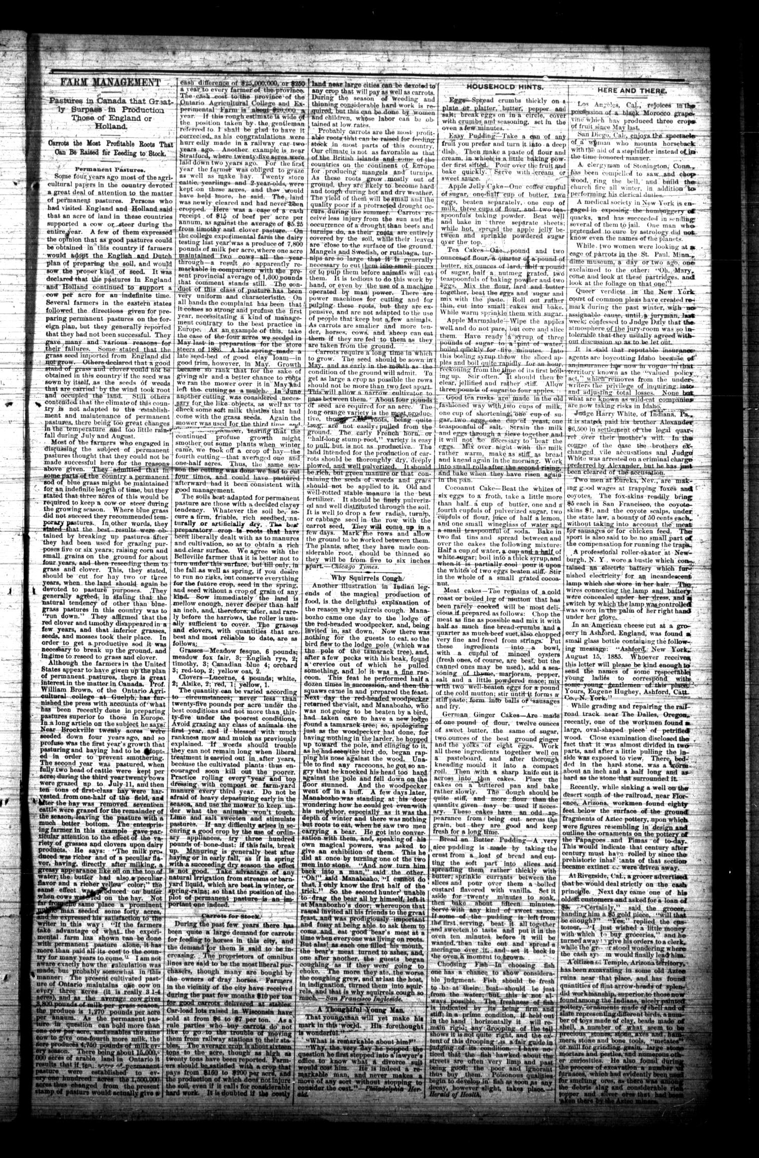 The Graham Leader (Graham, Tex.), Vol. 10, No. 32, Ed. 1 Thursday, March 25, 1886
                                                
                                                    [Sequence #]: 7 of 7
                                                