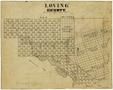 Primary view of Loving County