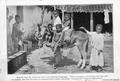 Photograph: [Four young children on the back of a donkey]