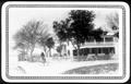 Photograph: [Photograph of the George Ranch house and yard, southeast approach]