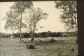 Photograph: [Old Wallisville Town Site]