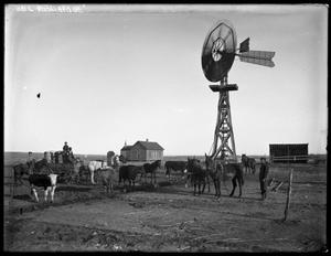 Primary view of object titled '[Livestock and Windmill]'.