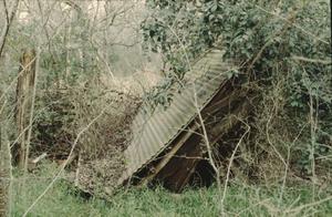 Primary view of object titled '[Annie Mae Green House, (collapsed shed ENE of house (~20mi))]'.