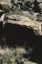 Photograph: [Alamo Canyon-Site 4, (Mimbres-style goats)]