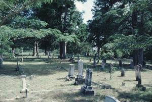 Primary view of object titled '[Concord Cemetary]'.