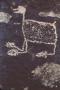 Photograph: [Alamo Canyon-Site 1: Area 3, Panel 7, (zoomorph)]
