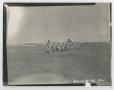 Primary view of [Photograph of a Marching Band]